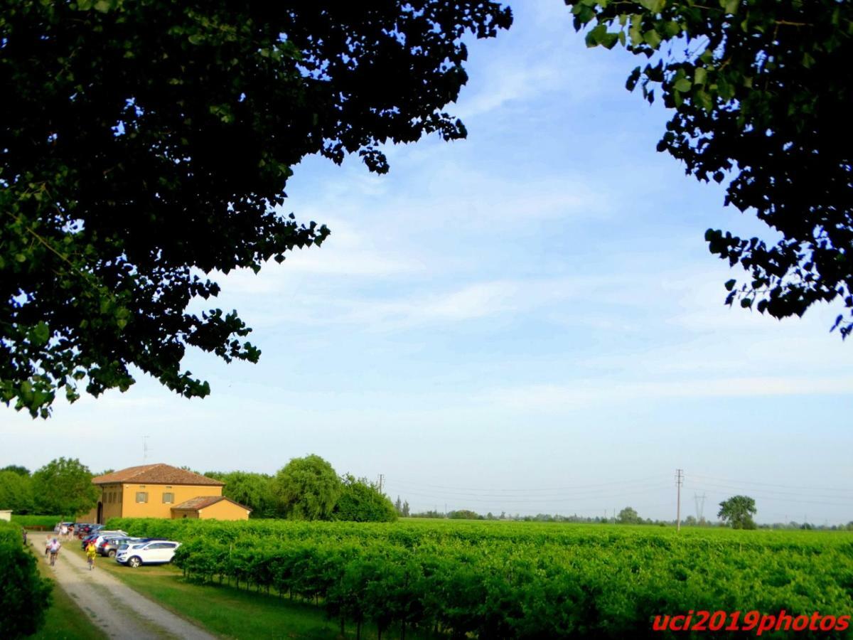 Agriturismo Vitae Villa Fabbrico Exterior foto